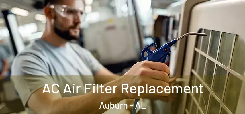  AC Air Filter Replacement Auburn - AL