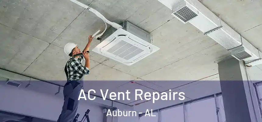  AC Vent Repairs Auburn - AL