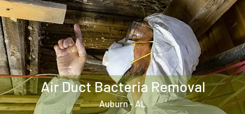 Air Duct Bacteria Removal Auburn - AL