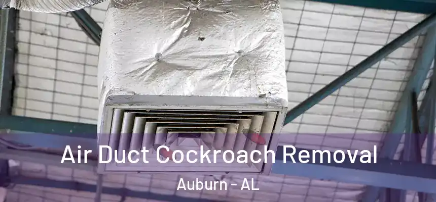  Air Duct Cockroach Removal Auburn - AL