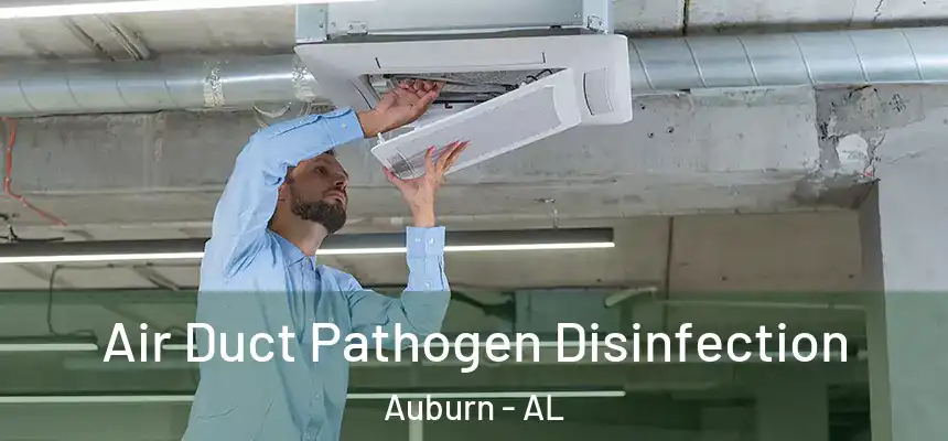 Air Duct Pathogen Disinfection Auburn - AL