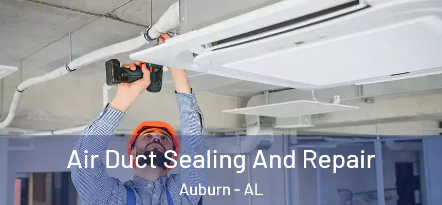  Air Duct Sealing And Repair Auburn - AL