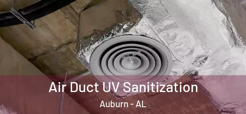  Air Duct UV Sanitization Auburn - AL