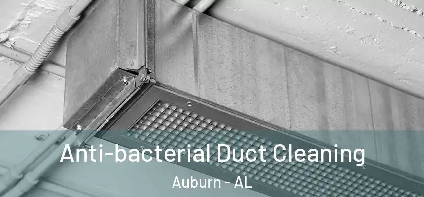 Anti-bacterial Duct Cleaning Auburn - AL