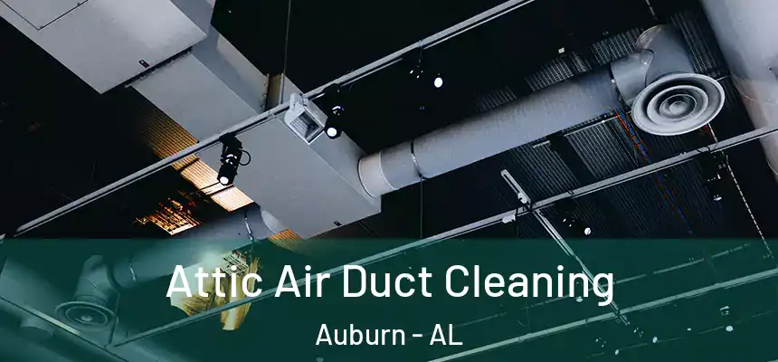  Attic Air Duct Cleaning Auburn - AL