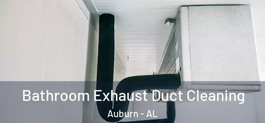 Bathroom Exhaust Duct Cleaning Auburn - AL