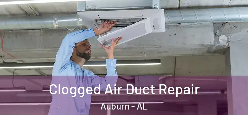 Clogged Air Duct Repair Auburn - AL