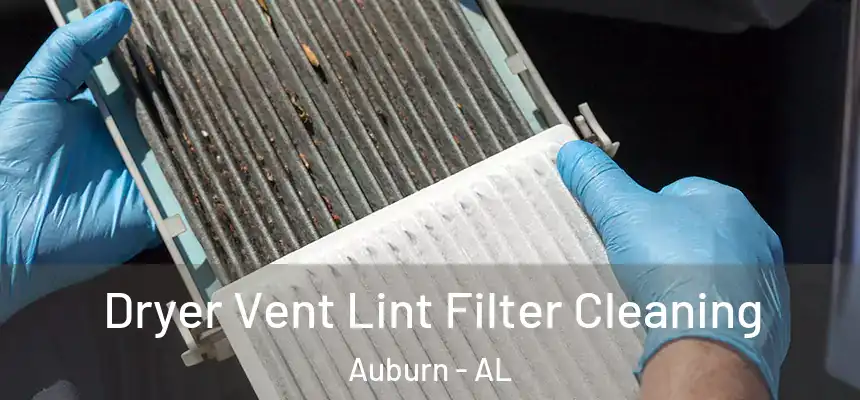  Dryer Vent Lint Filter Cleaning Auburn - AL