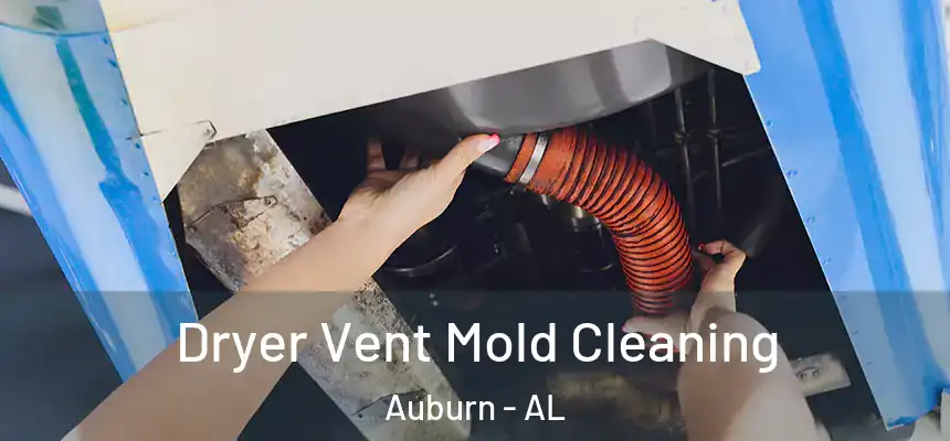 Dryer Vent Mold Cleaning Auburn - AL