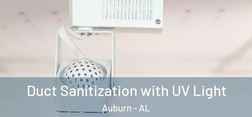 Duct Sanitization with UV Light Auburn - AL