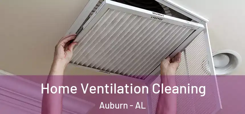 Home Ventilation Cleaning Auburn - AL