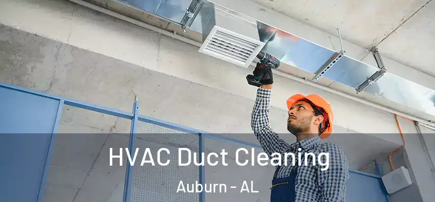  HVAC Duct Cleaning Auburn - AL