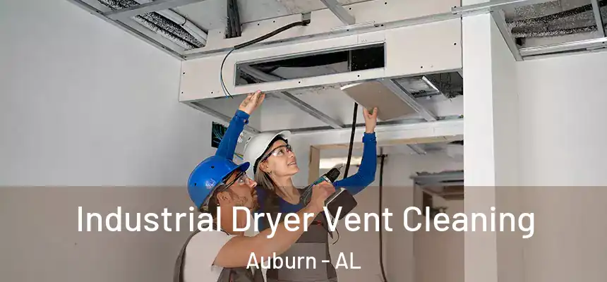 Industrial Dryer Vent Cleaning Auburn - AL