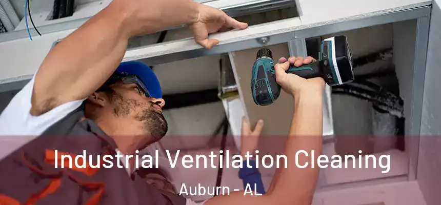 Industrial Ventilation Cleaning Auburn - AL