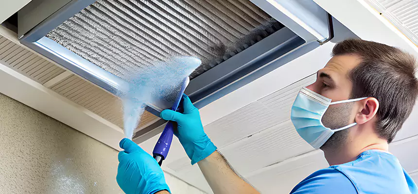 Proactive Dryer Vent & Auxiliary Duct Pollen Cleanup in Auburn, AL