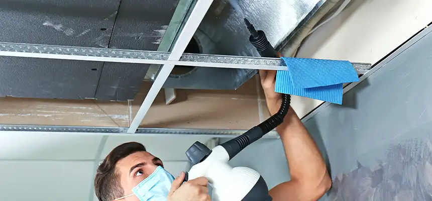 Our Air Duct Rodent Removal Services in Auburn, AL