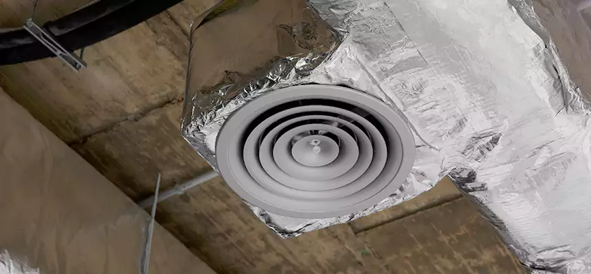 Our Excess Lint Removal from Dryer Ducts Services in Auburn, AL