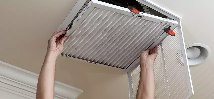 Our Insect Removal from Air Ducts Services in Auburn, AL