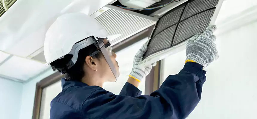 Our Mold & Mildew Removal from Air Ducts Services in Auburn, AL