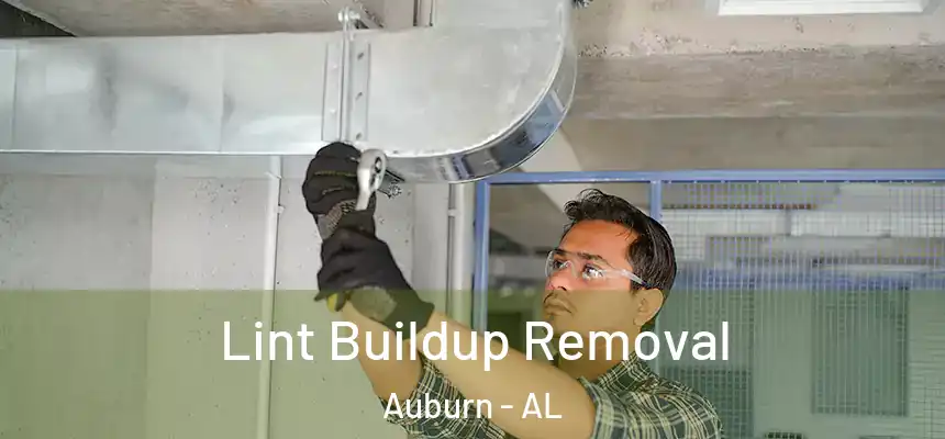 Lint Buildup Removal Auburn - AL