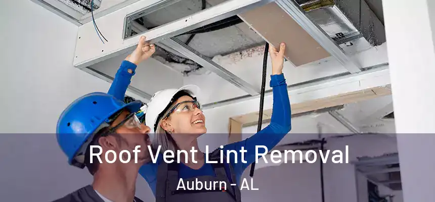  Roof Vent Lint Removal Auburn - AL