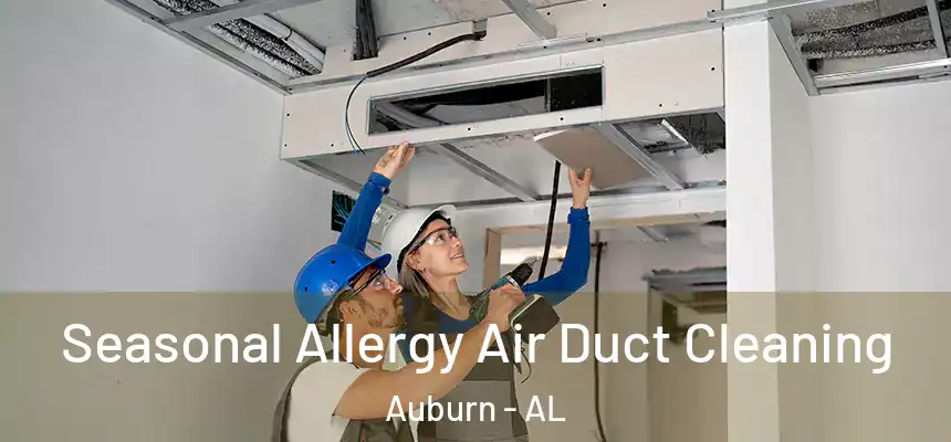  Seasonal Allergy Air Duct Cleaning Auburn - AL