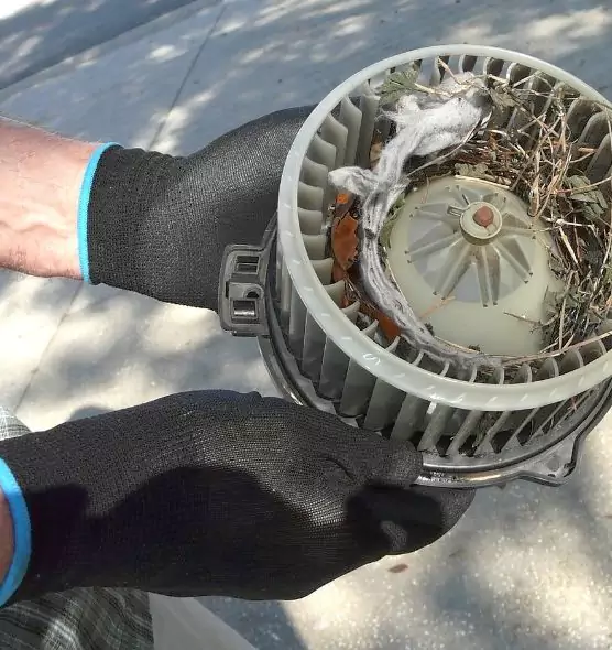 About Air Duct Mice Removal in Auburn, AL