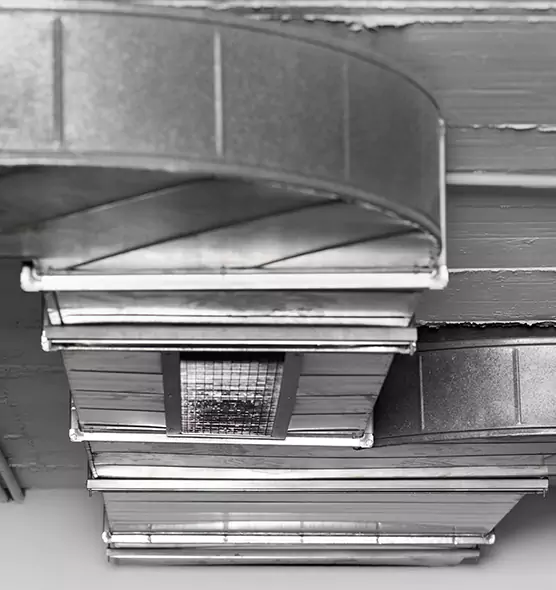 Professional Air Duct Pest Removal in Auburn, AL