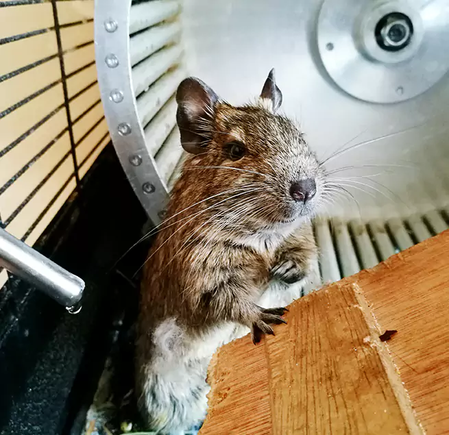 Why Homeowners & Businesses Trust Us Auburn, AL