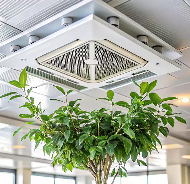 Why Homeowners & Businesses Trust Us in Auburn, AL