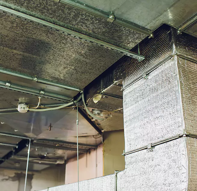 Why Homeowners & Businesses Trust Us in Auburn, AL?