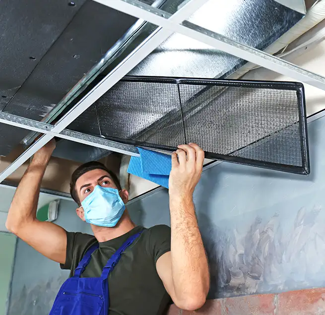 Why Homeowners & Businesses Trust Us in Auburn, AL?