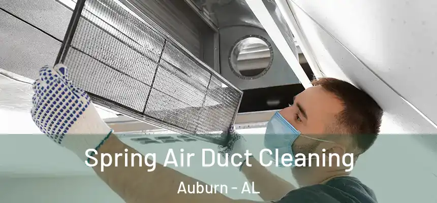  Spring Air Duct Cleaning Auburn - AL