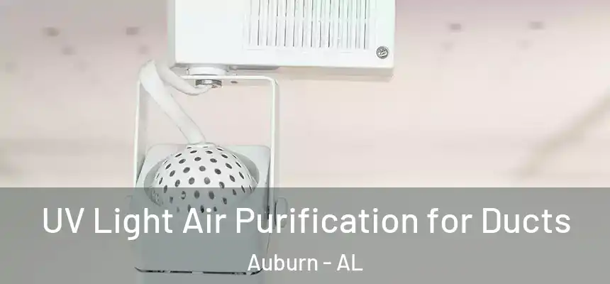 UV Light Air Purification for Ducts Auburn - AL