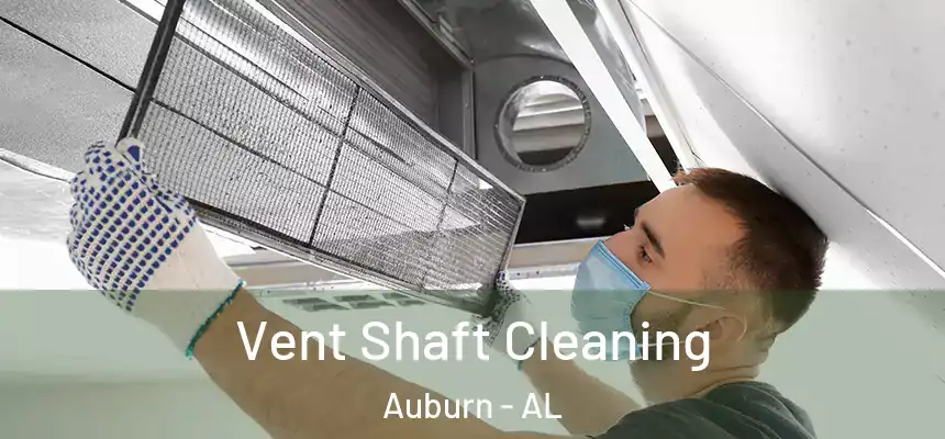 Vent Shaft Cleaning Auburn - AL