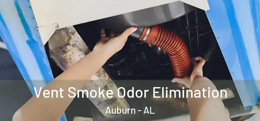  Vent Smoke Odor Elimination Auburn - AL