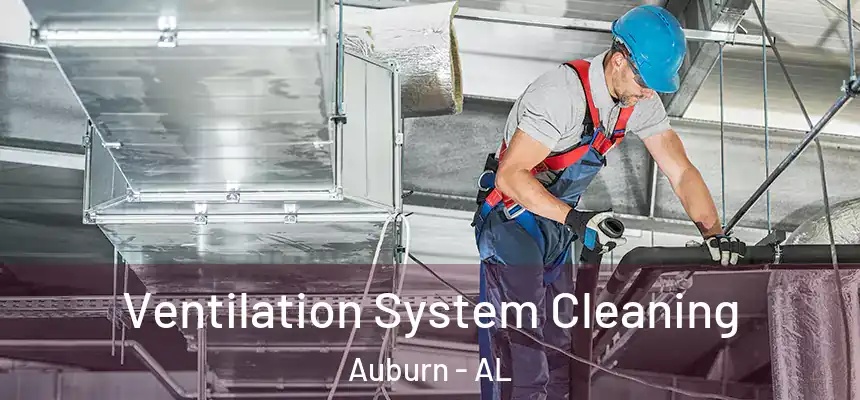  Ventilation System Cleaning Auburn - AL