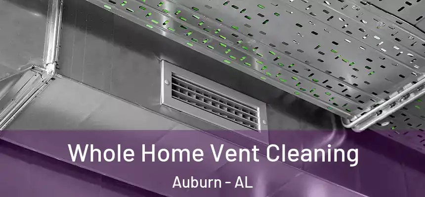 Whole Home Vent Cleaning Auburn - AL