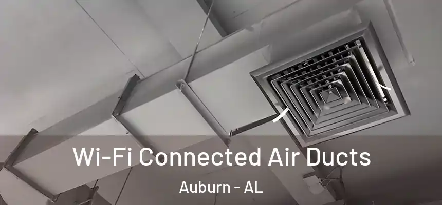 Wi-Fi Connected Air Ducts Auburn - AL